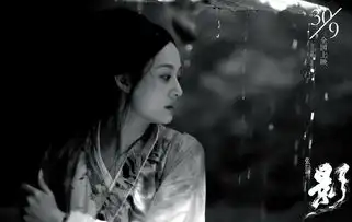 孙俪影关键剧照曝光国际口碑获赞点睛之笔