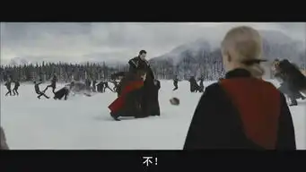 求暮光之城4破晓下皇族吸血鬼大军跟库伦家族的对战照片
