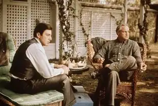 教父中汤姆海根的结局