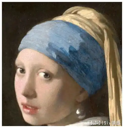 日记17戴珍珠耳环的少女细节刻画入微,油画电影小说都好
