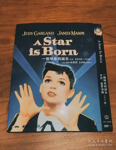 一个明星的诞生剧照配音