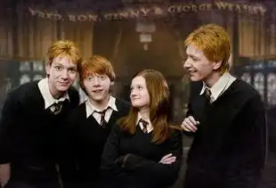 哈利波特电影及原著小说里,韦斯莱家为什么那么穷呢

