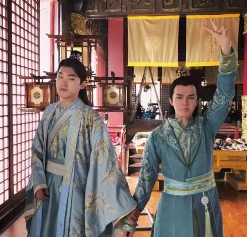 双世宠妃2十四王爷是最看重兄弟情的
