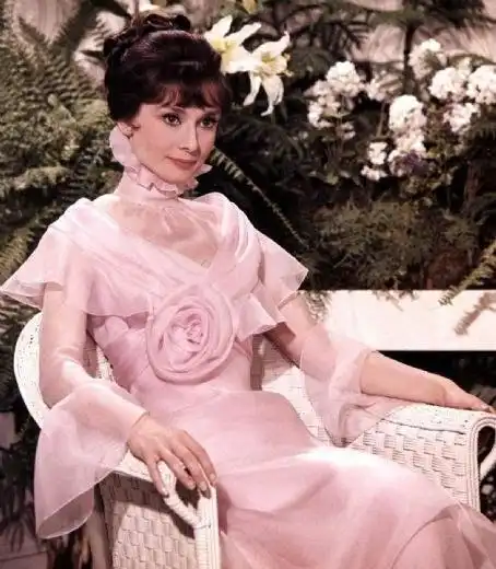 隐形的气质闻音识美人下
