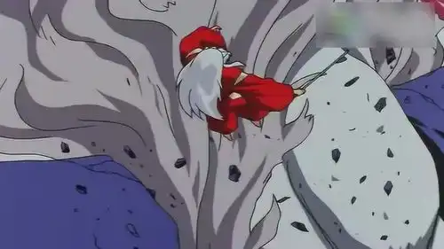 犬夜叉,请让杀生丸少爷成为刀下亡魂吧,冥加我先溜了