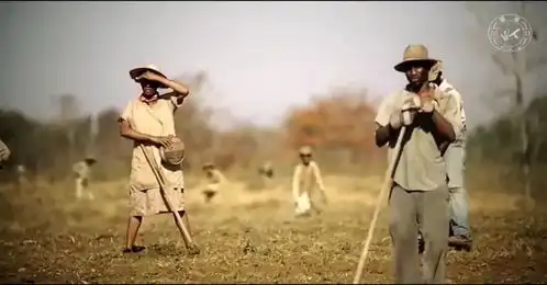 绿皮书明日内地上映,不套路的美式主旋律凭啥值得一个奥斯卡小金人