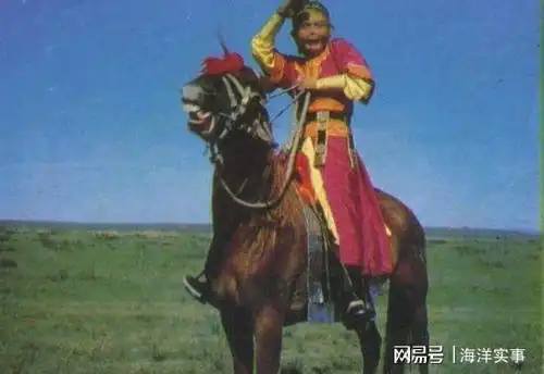 看了那么多遍西游记,才知道孙悟空应该是只母猴子