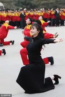 柳岩为工作真是拼坐挖掘机被举至半空