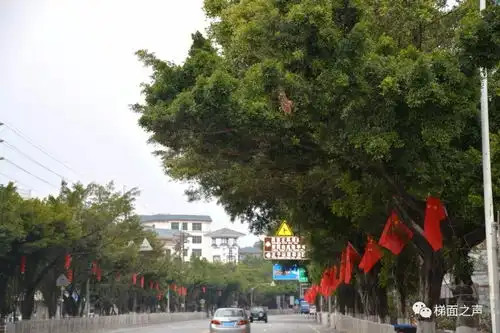 红红灯笼高高挂你想要的年味,花都很多地方都有