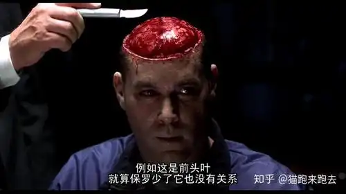 掀起你的头盖骨丨被一根铁夯改变的菲尼亚斯盖奇
