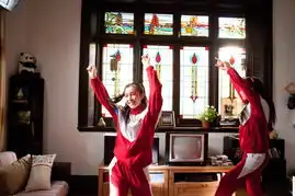 雪花秘扇snowflowersecretfanverycd电驴大全