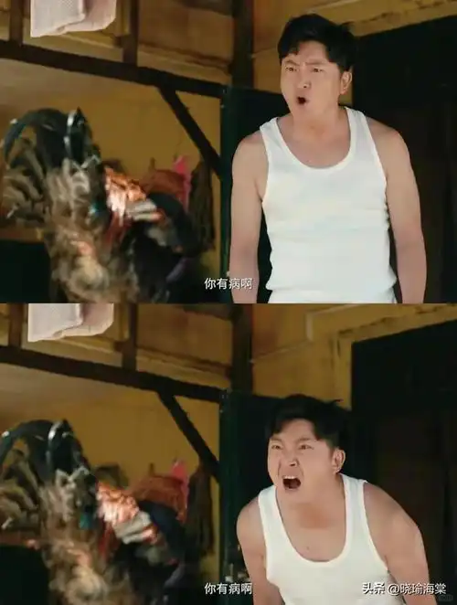 郑晓龙新剧比南来北往还逗全员喜剧人光看预告就笑麻了
