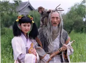 笑傲江湖中令狐冲是第几集学会易筋经的
