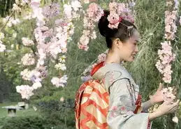 章子怡饰演的艺伎回忆录剧照多图
