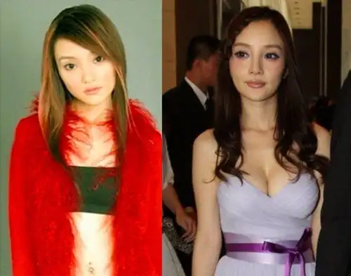 再出场胸器不翼而飞的女星