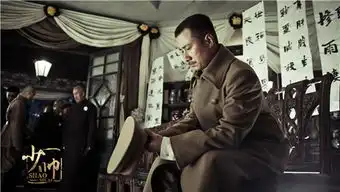 少帅文章宋佳剧照