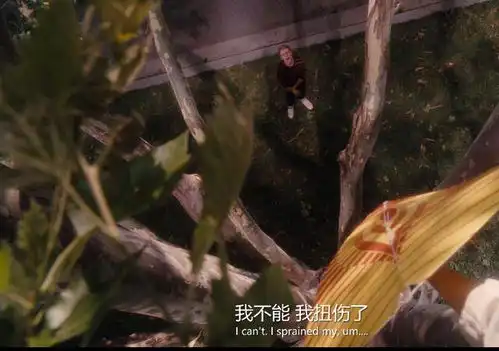 怦然心动孩子心中没有那棵梧桐树,30岁恋爱也还是早恋
