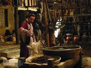 赵氏孤儿人物关系谱曝光王学圻恋慕范冰冰