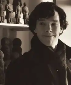 本尼迪克特康伯巴奇图册
