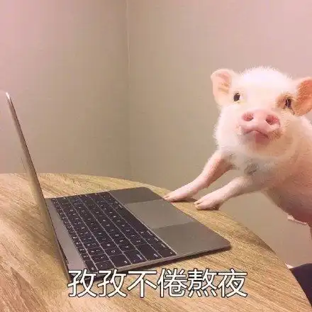 最佳鸡汤文案句子,你看过吗