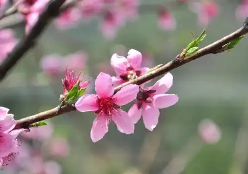 5月,一旦开始,尽其所能,无微不至,偏爱伊人,余生十指紧扣爱情旧爱恋爱网易订阅

