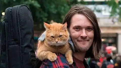 感动亿万观众的流浪猫鲍勃2温情来袭