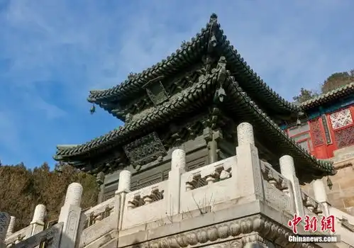颐和园流失海外宝云阁铜窗芯回家
