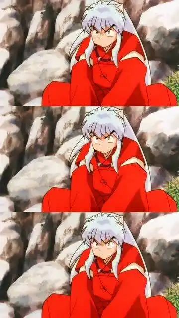 犬夜叉绝对是哈士奇成妖的
