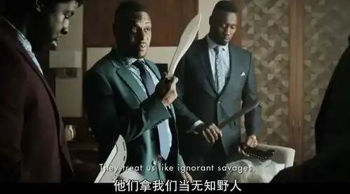 继浴血黑帮后又一神作豆瓣8.2低了,一口气刷完全集,过瘾
