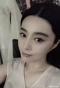 除了长的美范冰冰还真是没演技没综艺感