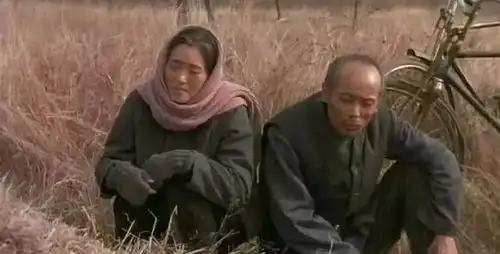 除了药神,中国电影还有多少超过9分的神作
