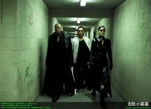 电影黑客帝国3矩阵革命观后感