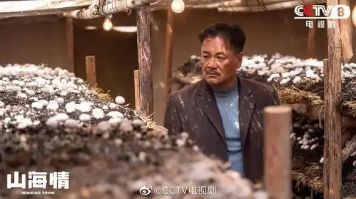 刚刚,白玉兰奖揭晓觉醒年代斩获三大奖项,网友刷屏一句话
