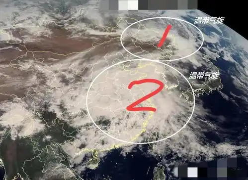 山东的大雨开始下了