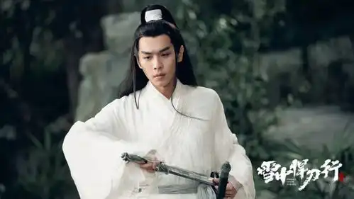 雪中悍刀行角色盘点中人之姿徐渭熊颜值超标,青鸟意外爆红
