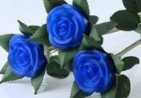 19朵蓝色妖姬花语是什么
