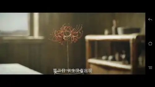 灵魂摆渡黄泉路上的曼殊沙华
