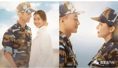 越南版太阳的后裔海报曝光女主角被赞超有气质
