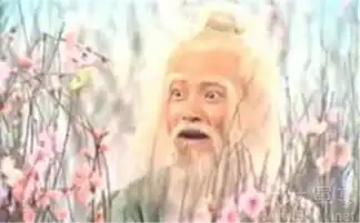 丐帮帮主洪七公号称北丐与南帝齐名
