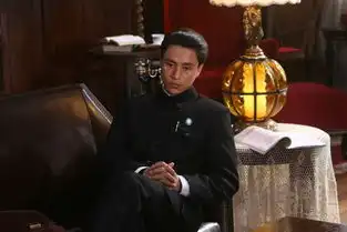 陈坤专访建国大业的最大惊喜
