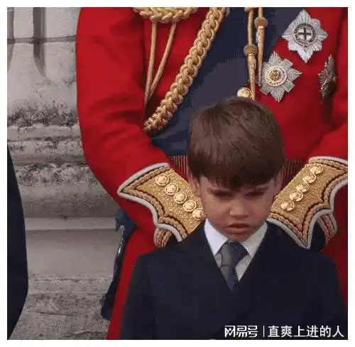 路易小王子参加皇家阅兵表情包集锦
