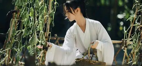 雪中悍刀行徐凤年背后的女人们,有人终得善终,有人凄惨离世