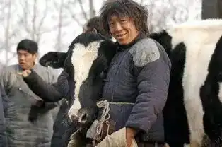 凭什么人人都爱黄渤