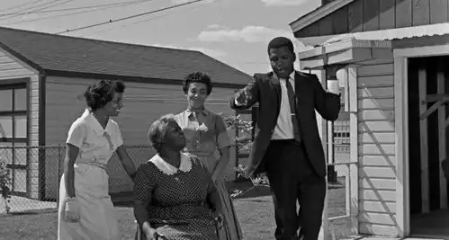 谈绿皮书双重否定句式,nonono
