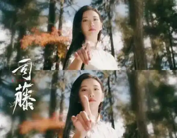 铂爵旅拍司藤景甜旗袍造型首曝,这样拍旗袍婚照更有韵味