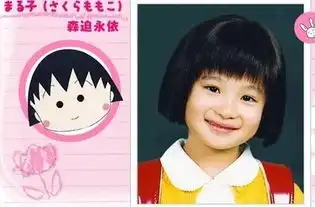 樱桃小丸子真人版剧情介绍