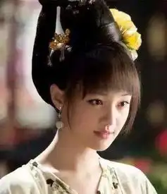 赵丽颖落魄到要去抄袭郑爽网友这黑锅颖宝不背