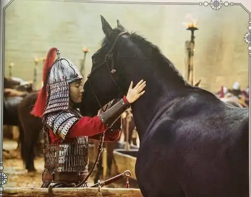 刘亦菲新电影花木兰未公开剧照曝光,安能辨我是雄雌
