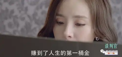 谈判官售价约2.9亿,华策能凭这个剧赚1.3亿