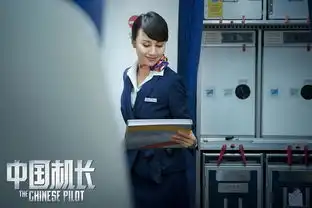 专业成就骄傲,中国机长奇迹迫降,weyvv7引领智造

